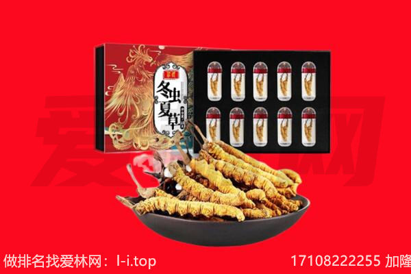 太原小店区回收虫草.jpg